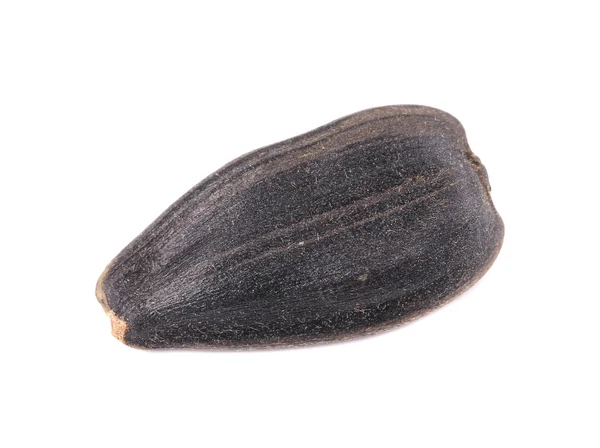 Black sonflower seed — Stock Photo, Image