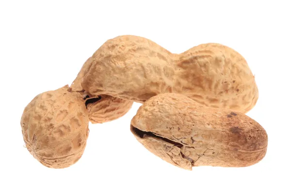 Close up of peanut — Stock Photo, Image