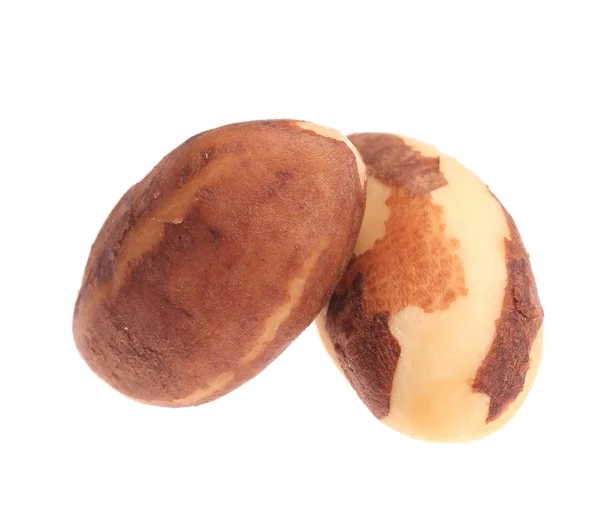 Dos nueces brasileñas — Foto de Stock