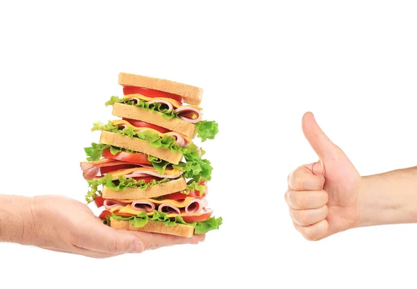 Tasty sandwich in hands — Stock Photo, Image