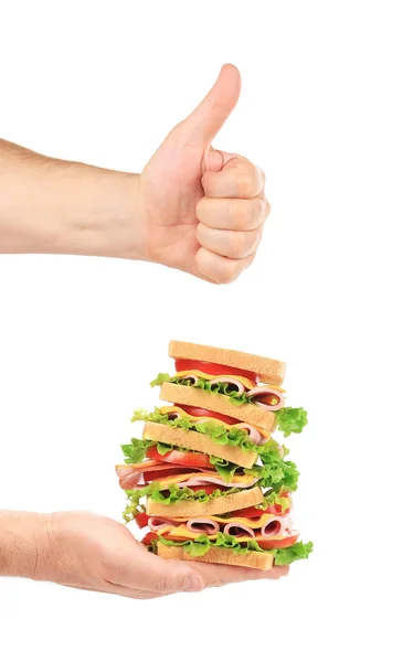 Tasty sandwich in hands — Stock Photo, Image