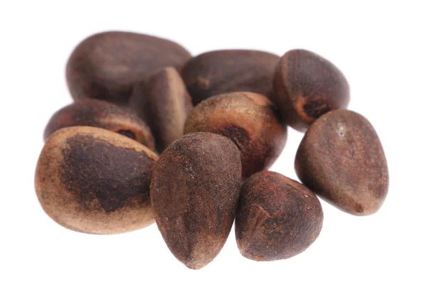 Zblízka borovicové ořechy — Stock fotografie