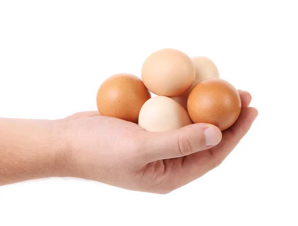 Ręka trzyma brązowe jaja — Zdjęcie stockowe