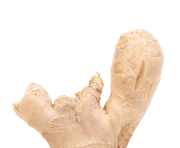 Root ginger — Stock Photo, Image