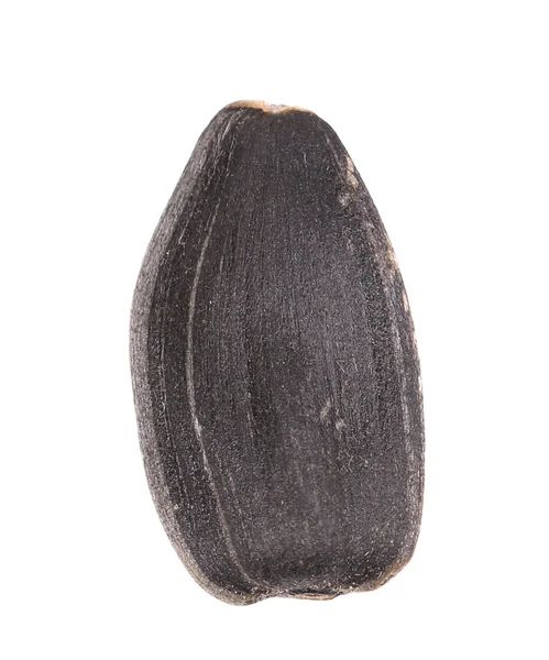Black sonflower seed — Stock Photo, Image