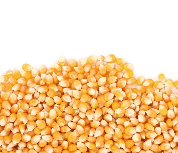 Corn grains — Stock Photo, Image