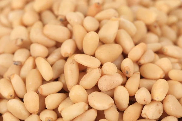 Shelled pine nuts — Stock Photo, Image