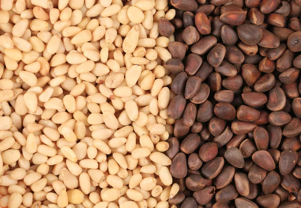 Two sides of pine nuts — Stock Photo, Image