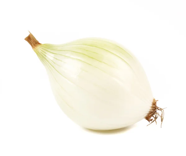 Onion close up — Stock Photo, Image