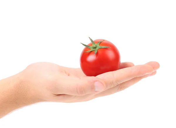 Fresh tomato on hand — Stock Photo, Image