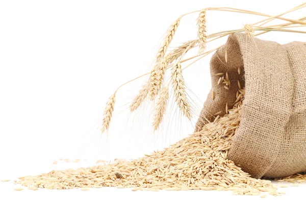 Saco con granos y espiga de trigo — Foto de Stock