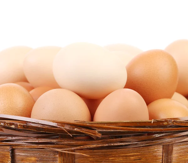 Egg collection — Stock Photo, Image