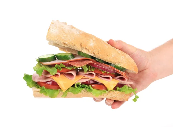 Big fresh sandwich in hands — Stock Photo, Image