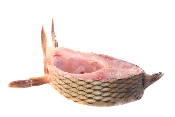 Färsk rå fisk karp — Stockfoto
