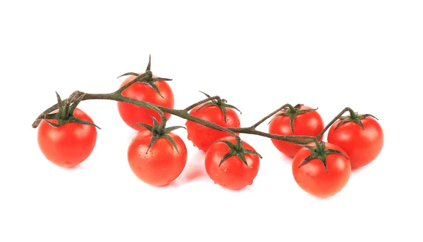 Racimo de tomates — Foto de Stock