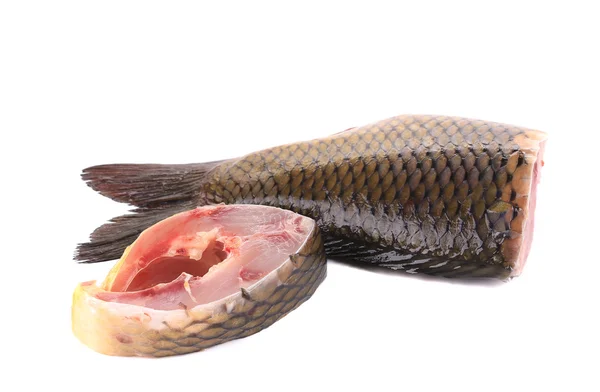 Karp świeży surowe ryby — Zdjęcie stockowe