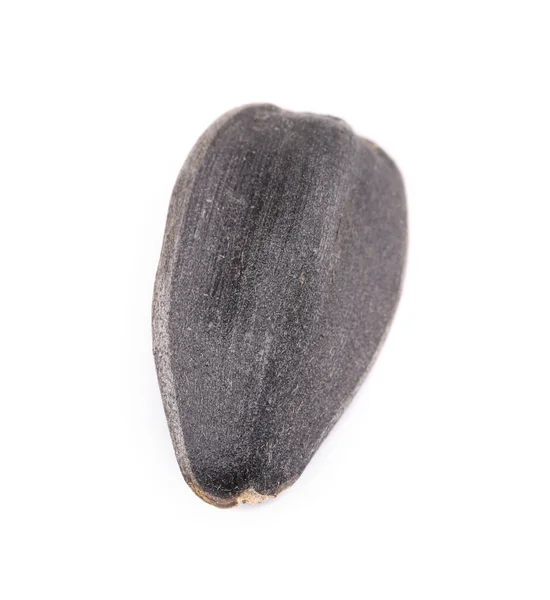 Black sonflower seed — Stock Photo, Image