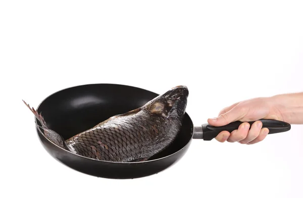 Hand holds pan with fresh carp — Stock Photo, Image