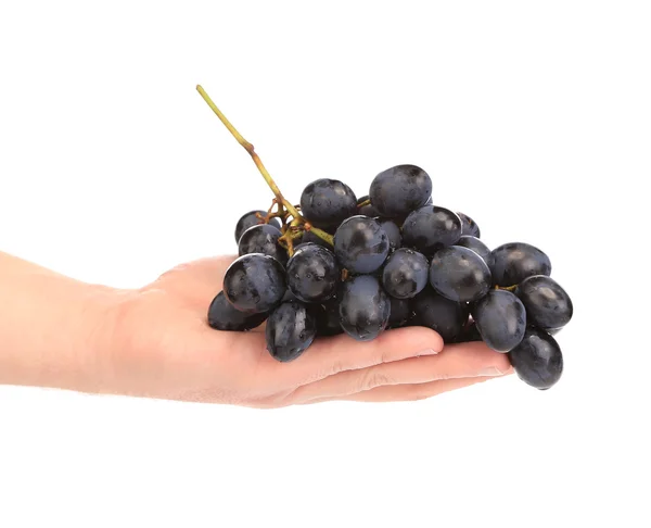 Grapes on hand — Stock Photo, Image