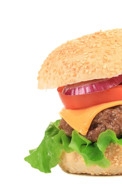 Smakfull hamburger – stockfoto