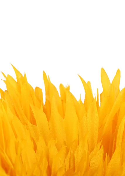 Желтые лепестки цветов — стоковое фото