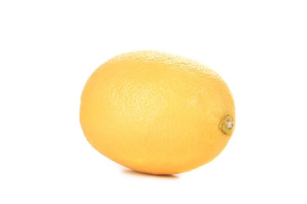 Citron på vit — Stockfoto