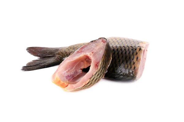 Karp filé med fisk flingor — Stockfoto