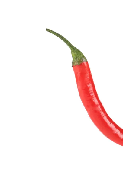 Piros csípős chili paprika — Stock Fotó