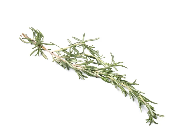 Twig of rosemary — Stock Photo, Image