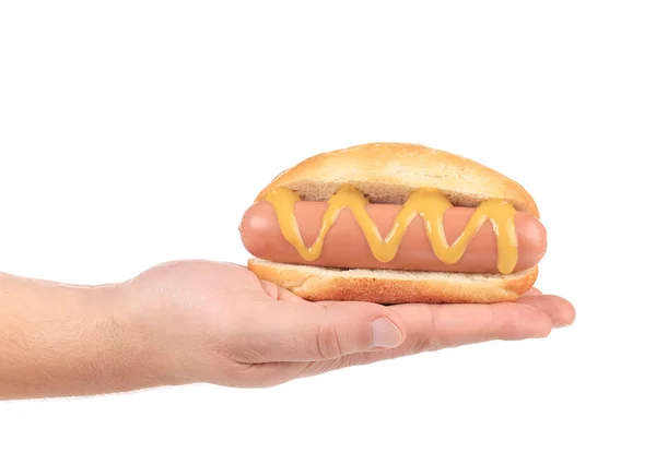 Ręka trzyma big hotdog — Zdjęcie stockowe