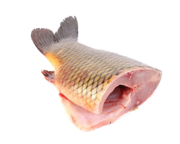 CARP fish — Stock Fotó