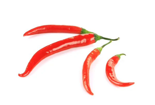 Red chilli pepper — Stock Photo, Image