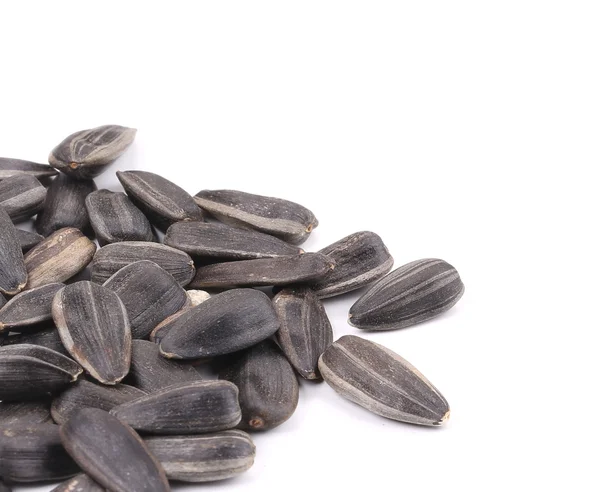 Sunflower seeds — Stock Photo, Image