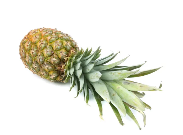 Świeży ananas cały — Zdjęcie stockowe