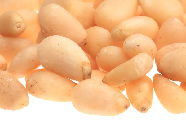 Pine nuts — Stock Photo, Image