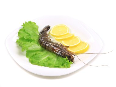 plaka üzerinde ham kaplan karides