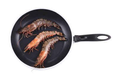 kaplan karides siyah Pan