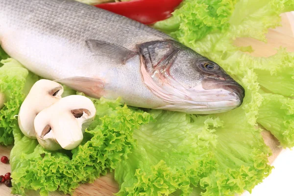 Морское дно с салатом — стоковое фото