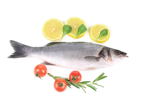 Färska havsabborre fisk med citron — Stockfoto