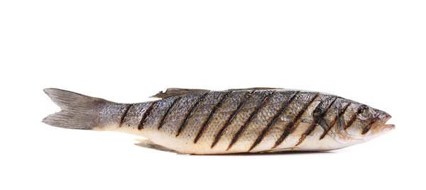 Pesce alla griglia — Foto Stock