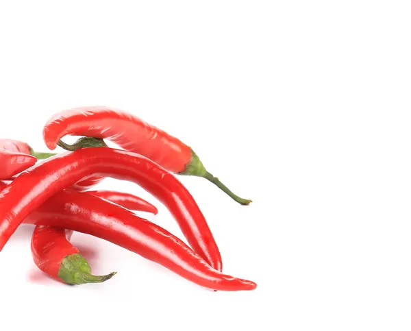 Rode chili peper — Stockfoto