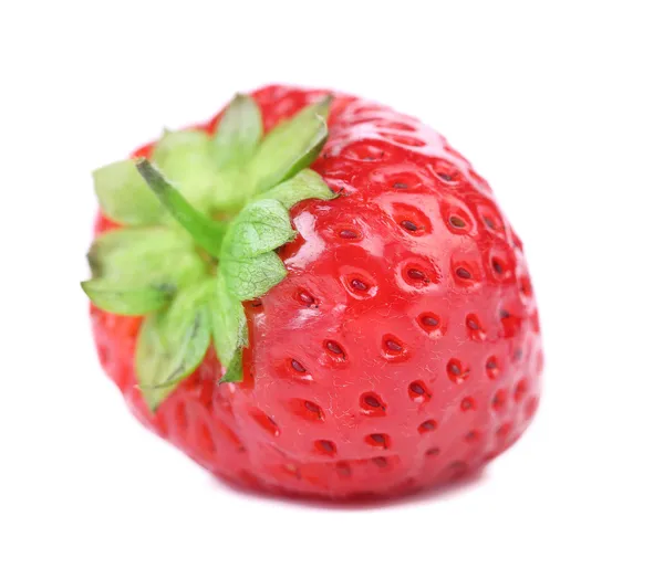 Fragola fresca — Foto Stock