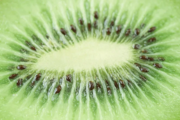 Kiwi come sfondo — Foto Stock