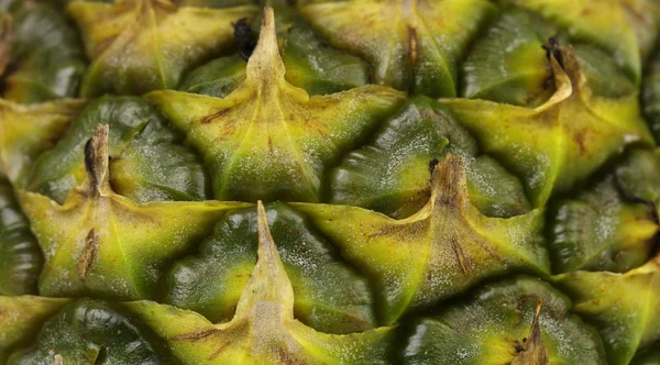 Texture of pineapple — Stock Photo, Image