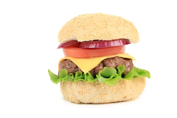 Fast Food Hamburger — Stockfoto