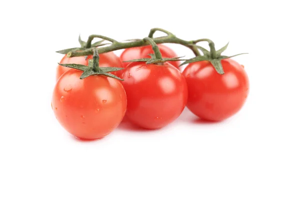 Composición de tomates cereza — Foto de Stock