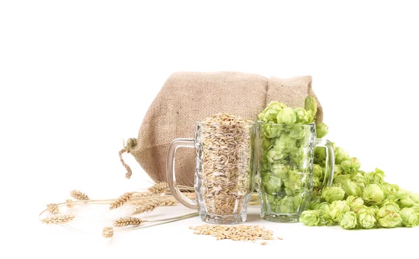 Zwei Becher mit Gerste und Hopfen — Stockfoto