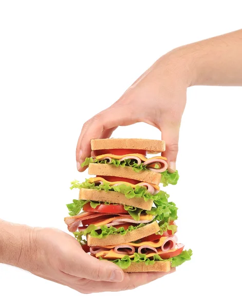 Big fresh sandwich in hands — Stock Photo, Image