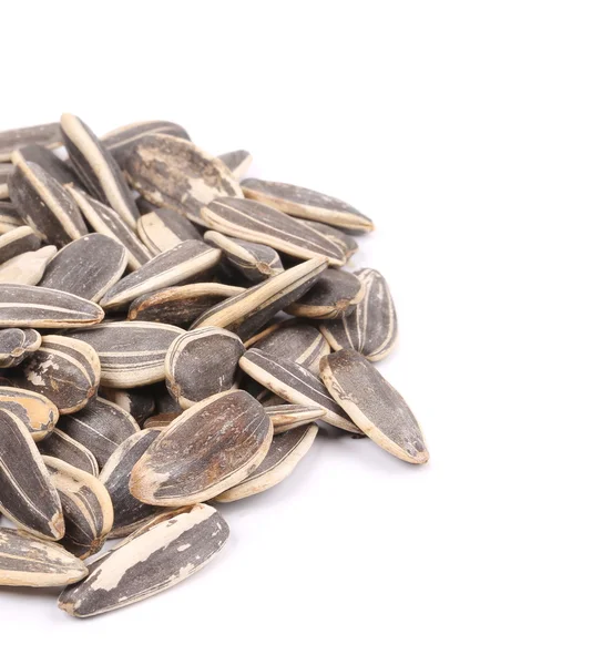 Black sunflower seeds — Stock Photo, Image