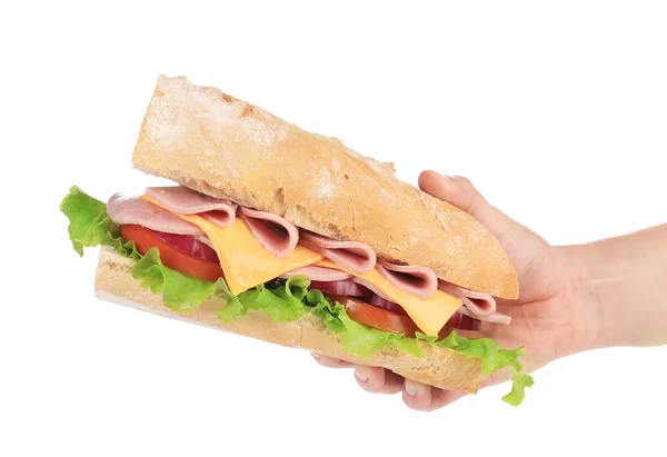 Big fresh sandwich in hands — Stock Photo, Image